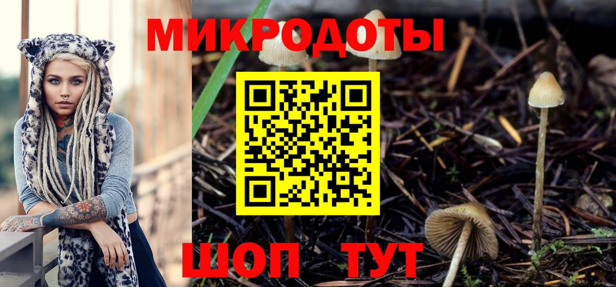 Псилоцибиновые грибы MAGIC MUSHROOMS Мичуринск