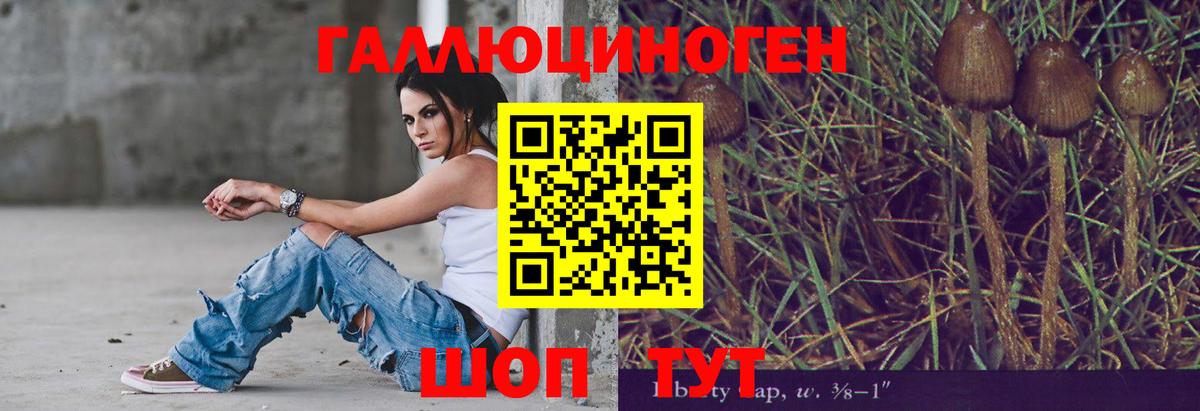 Галлюциногенные грибы MAGIC MUSHROOMS  Вход с VPN  Мичуринск 